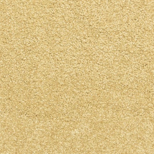 Amberhill|Camelite|PM-D02225190-DH - Sample