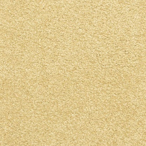 Amberhill|Suede|PM-D02225220-DH - Sample