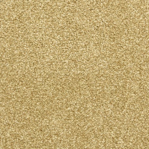 Amberhill|Cameo|PM-D02225782-DH - Sample