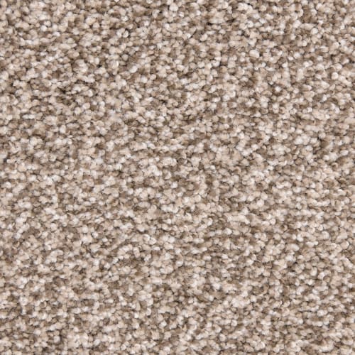 Amberhill|Laid Back|PM-D02232727-DH - Sample