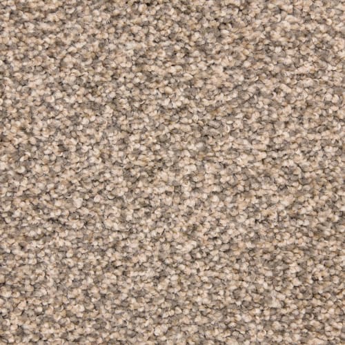 Amberhill|Statement|PM-D02234392-DH - Sample