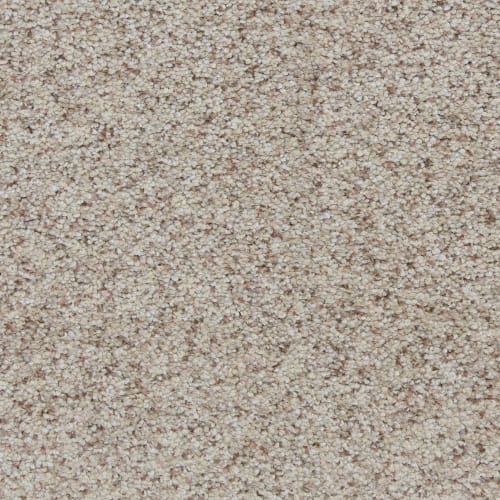 Amberhill|Oatmeal Raisin|PM-D02280181-DH - Sample