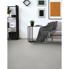 Load image into Gallery viewer, Suave|Astute|D042-21698 - Sample