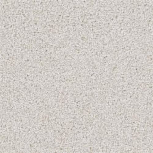 Big Dog|Bichon Frise|D059-71249 - Sample