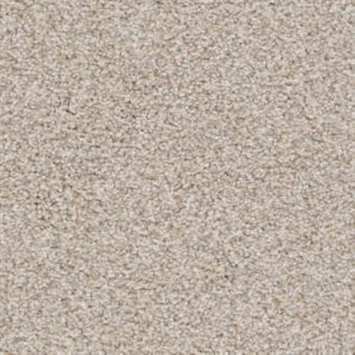 Big Dog|Shar-Pei|D059-75745 - Sample