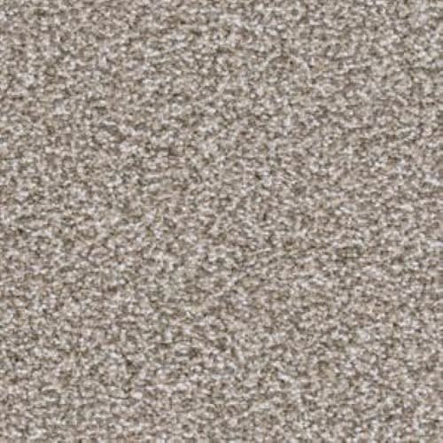 Big Dog|Pinscher|D059-87843 - Sample