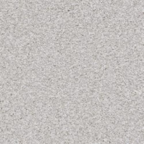 Big Dog|Papillion|D059-91748 - Sample