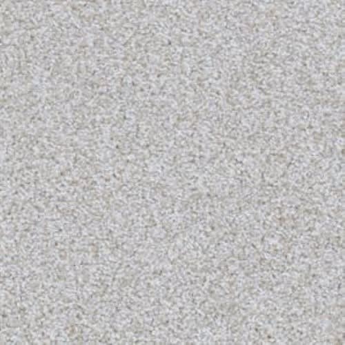 Big Dog|Samoyed|D059-94746 - Sample