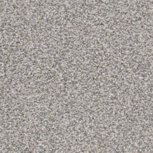 Big Dog|Greyhound|D059-96742 - Sample