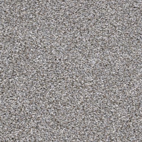 Big Dog|Schnauzer|D059-98840 - Sample