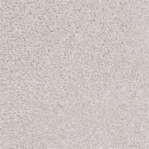 Big Shot|Bichon Frise|D060K-71249 - Sample