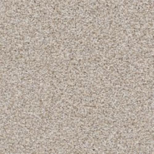 Big Shot|Shar-Pei|D060K-75745 - Sample