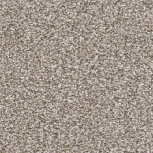 Big Shot|Pinscher|D060K-87843 - Sample