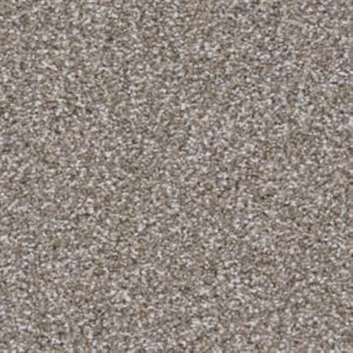 Big Shot|Dachshund|D060K-88841 - Sample