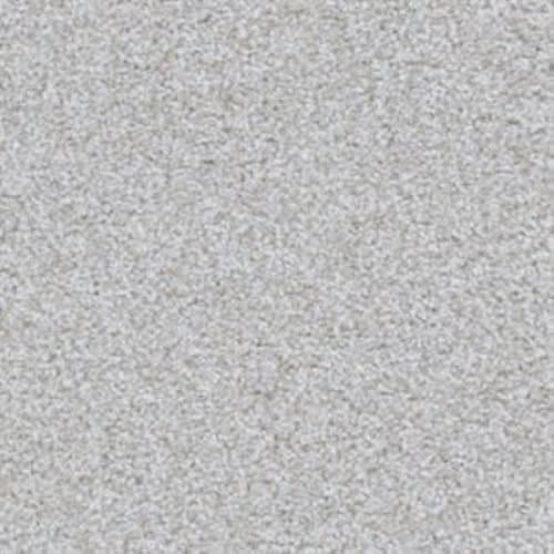 Big Shot|Samoyed|D060K-94746 - Sample