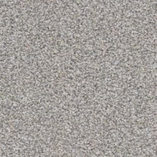 Big Shot|Greyhound|D060K-96742 - Sample