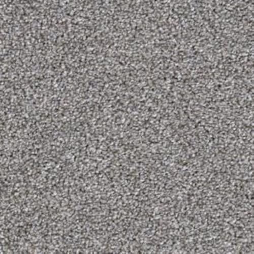 Big Shot|Schnauzer|D060K-98840 - Sample