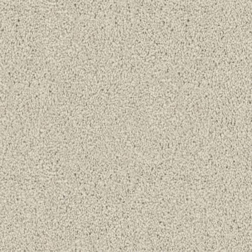 Affection|Antique White|D096-72103 - Sample