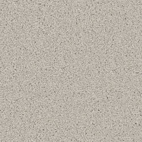 Affection|Fog|D096-72904 - Sample