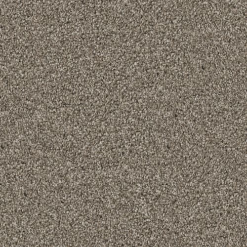 Affection|Mocha|D096-87808 - Sample