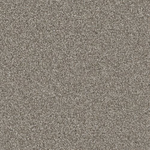 Affection|Bison|D096-88812 - Sample