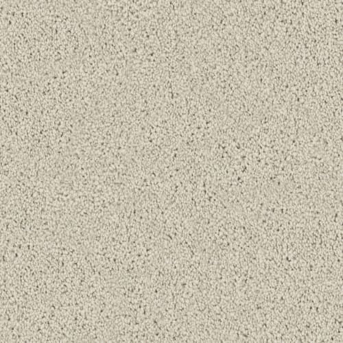 Admiration|Antique White|D097-72103 - Sample