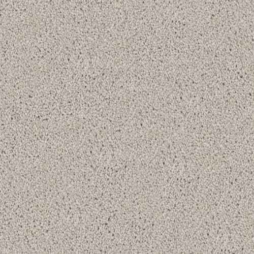 Admiration|Fog|D097-72904 - Sample