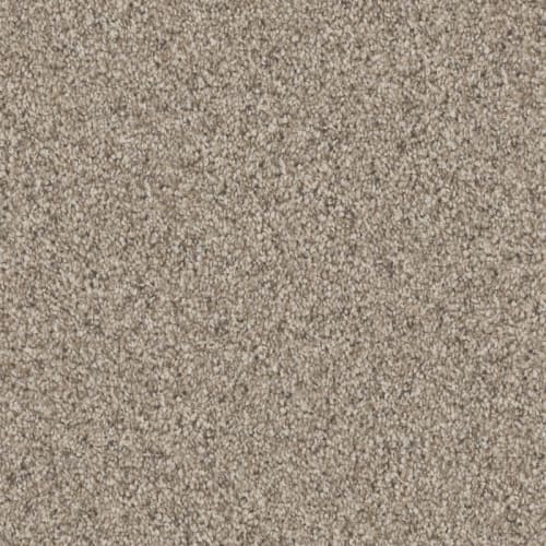 Admiration|Walnut|D097-87709 - Sample