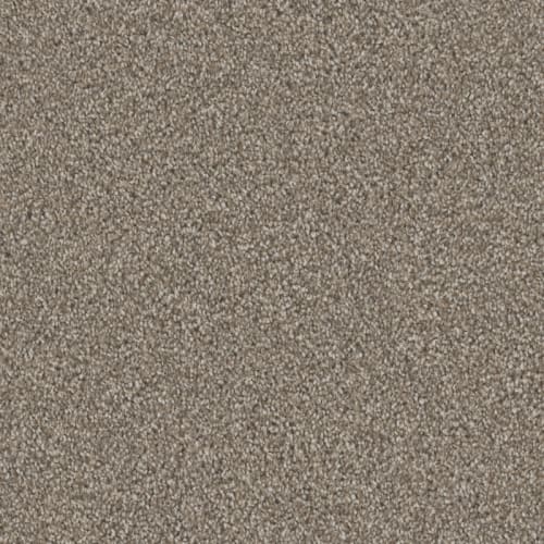 Admiration|Mocha|D097-87808 - Sample