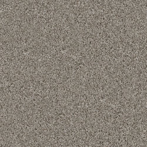 Admiration|Bison|D097-88812 - Sample