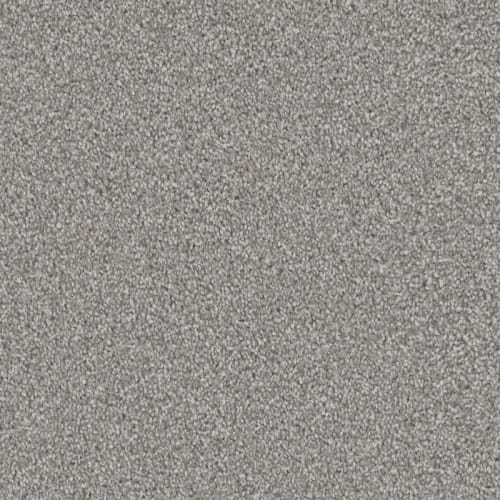 Admiration|Storm Cloud|D097-97919 - Sample