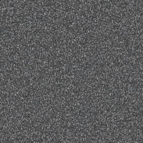 Admiration|Ebony|D097-99924 - Sample