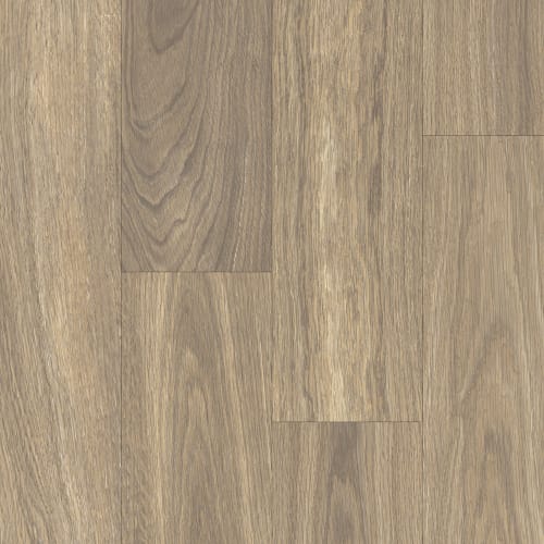 Applause Collection|Stony Oak|P1045-D8165 - Sample