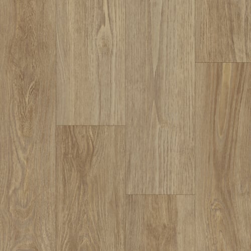 Applause Collection|Meringue Chestnut|P1045-D8192 - Sample