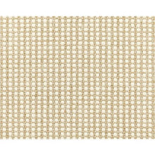Load image into Gallery viewer, Colton in HONEY 42 - Sample