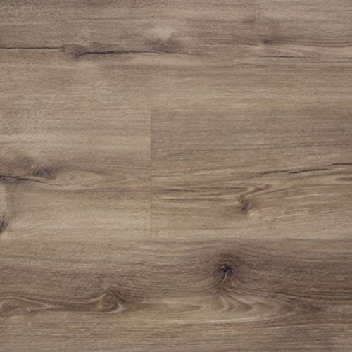 Firmfit Platinum|Kaffir|CW1600 - Sample