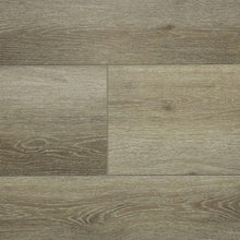Load image into Gallery viewer, Firmfit Platinum|Tinley|CW683 - Sample