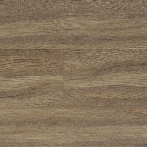 Firmfit Gold|Ancient Oak|CW681V - Sample