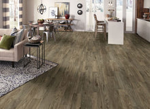 Load image into Gallery viewer, Flexstep Pro Hardland Oak|Driftwalk 12'|G2904401 - Sample