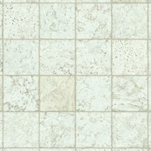 Load image into Gallery viewer, Flexstep Pro Selur Travertine|Icing Baron 12'|G2921401 - Sample