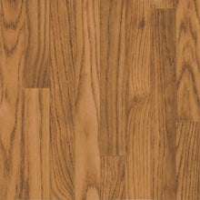 Load image into Gallery viewer, Progressions Braxton II|Bourbon 12'|G7232401 - Sample