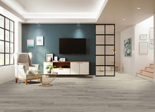 Load image into Gallery viewer, Acrylx - Gencore Originals|Fairview|GEN-804 - Sample