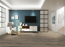 Load image into Gallery viewer, Acrylx - Gencore Originals|Salem|GEN-805 - Sample