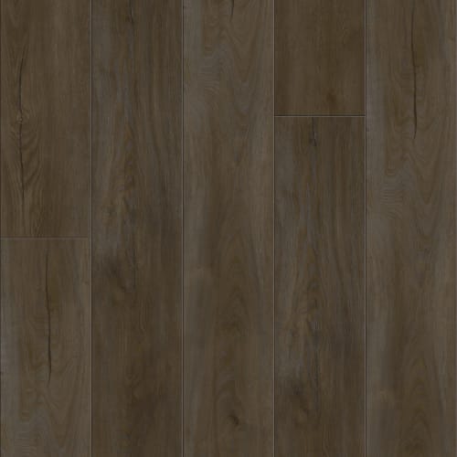 Acrylx - Gencore HD|Roan|GEN-811 - Sample