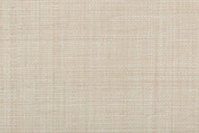 Load image into Gallery viewer, Filbert in BEACHFRONT 30 - Sample