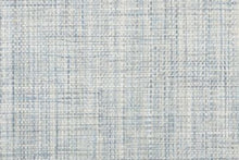 Load image into Gallery viewer, Filbert in MARINE 33 - Sample