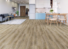 Load image into Gallery viewer, Inception - 80|Weathered Pearl|6906AB - Sample