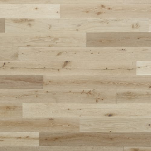 Belmont Hills|Inglewood|P-BH537OIP-HF - Sample