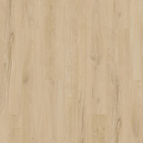 Artisan Reserve|Bellini|KHS06-147 - Sample