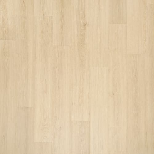 Andilet|Buff Cream Oak|KLW01-01 - Sample